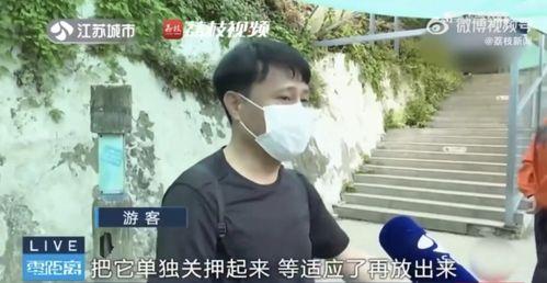 网红吃瓜兄妹是真的吗,揭秘真实身份与幕后故事